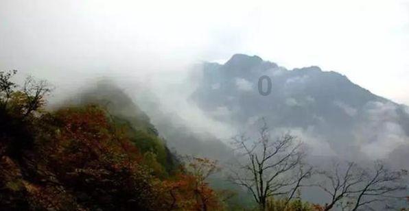全民烧脑3去广告版
